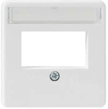 Rutenbeck ZSt UM-MA 2 Zentralplatte 2-fach reinweiß RAL9010 (13910053)
