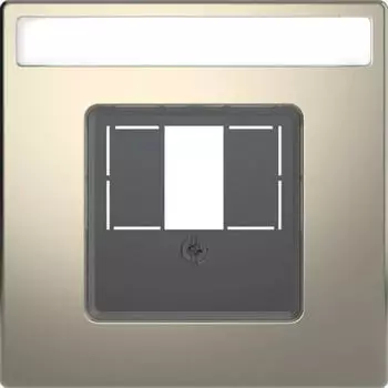 Merten Zentralplatte mit rechteckigem Ausschnitt und Schriftfeld, nickelmetallic (MEG4250-6050)
