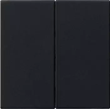 Gira Wippe 2-fach + Set IP44 schwarz, System 55 (0266005)