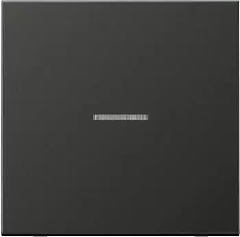 Jung Bike KNX-Kontrollwippe LS Serie F10, 1-fach, anthrazit (AL101KO5AN)