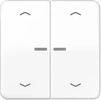 Jung Bike CD 102 KO5P WW KNX-Kontrollwippe 2-fach, alpinwei&szlig;, Lichtleiter, Pfeilsymbole (CD102KO5PWW)