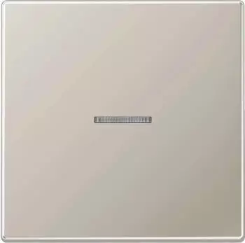 Jung Bike KNX-Kontrollwippe F10 1-fach edelstahl (ES101KO5)
