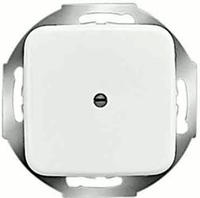 Busch-Jaeger Zentralscheibe aws 2527-214