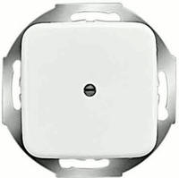 Busch-Jaeger 2CKA001710A0623, Busch-Jaeger 2527-212 Zentralscheibe mit Tragring