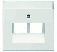 Busch-Jaeger 2CKA001710A3164, Busch-Jaeger 1803-02-84 Zentralscheibe 2-fach