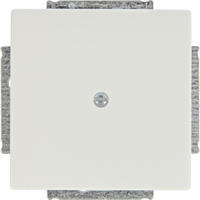 Busch-Jaeger 2CKA001710A3161, Busch-Jaeger 1742-84 Blindzentralscheibe mit Tragring