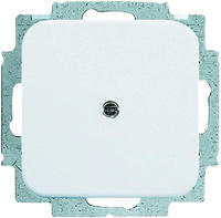 Busch-Jaeger 2CKA001715A0275, Busch-Jaeger 2538-214 Blindzentralscheibe mit Tragring