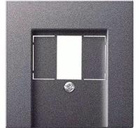 Gira 027628, Gira Zentralplatte (027628) Grau
