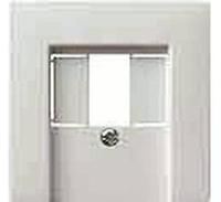 Gira 027603, Gira 027603 Abd. TAE USB System 55 Reinwei&szlig;