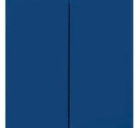 Busch-Jaeger 1785-885, Busch-Jaeger 1785-885 Wippe f&uuml;r Taster, 2-fach schwarz matt -