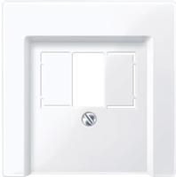 Merten 296025, Merten 296025 Zentralplatte f&uuml;r TAE/Audio/USB, aktivwei&szlig; gl&auml;nzend,