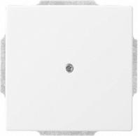 Busch-Jaeger 2CKA001710A3163, Busch-Jaeger 1749-84 Zentralscheibe mit Tragring