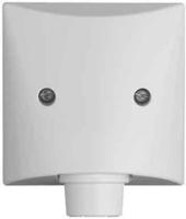 Busch-Jaeger Zentralscheibe ws 2133-32 2CKA001710A2256