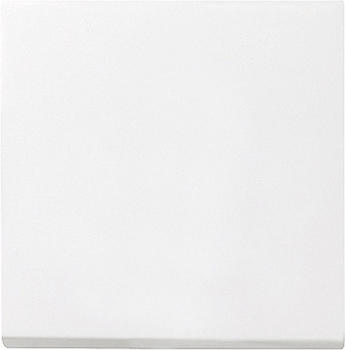 Gira Wippe 1-fach (029603)