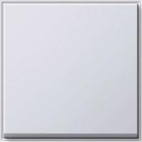 GIRA 29666, Gira Wippe Wechselsch. rws (WG UP) 029666