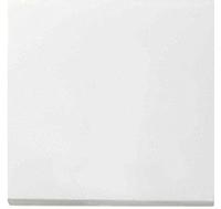 Gira 0296112, Gira Wippe Wechselsch. rws-gl 0296112
