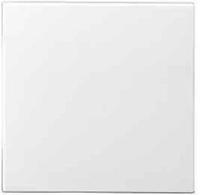Gira 029627, Gira Wippe Wechselsch. rws 029627