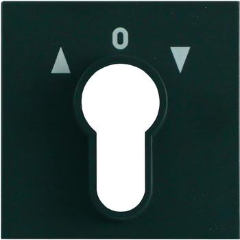 Gira Abdeckung für Schlüsselschalter (066428)