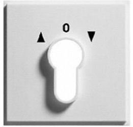 Gira Abdeckung für Schlüsselschalter (066465)