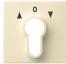 Gira Abdeckung für Schlüsselschalter (066401)