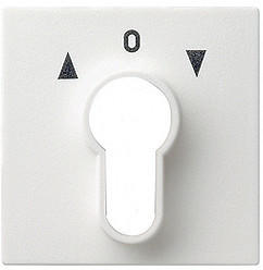 Gira Abdeckung für Schlüsselschalter (066427)