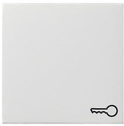 Gira Wippe mit Symbol Tür (028727)