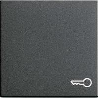 Gira Giersiepen 028728, Gira Giersiepen GIRA 028728 Wippe mit Symbol T&uuml;r System 55