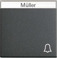 GIRA 67328, Gira Wippe Klingel anth m.Schriftf.,System55 067328 - 067328