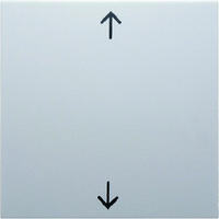 Berker Wippe pws/gl 16208919