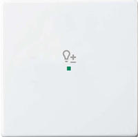 Busch-Jaeger 2CKA006220A0046, Busch-Jaeger 6234-10-84 Wippe 1-fach, mit Symbol