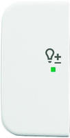 Busch-Jaeger 2CKA006220A0096, Busch-Jaeger 6234-21-214 Wippe 2-fach links, mit Symbol