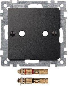Merten Zentralplatte mit High-End Lautsprecher-Steckverbinder (4693)