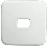 Busch-Jaeger 2CKA001731A0926, Busch-Jaeger 2520-214 Wippe offen f&uuml;r Symbol