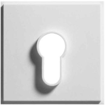 Gira Abdeckung für Schlüsselschalter (066466)