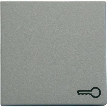 Gira Wippe mit Symbol Tür (028726)