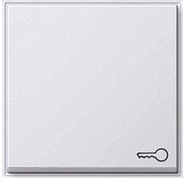 Gira Wippe mit Symbol T&uuml;r (028766)