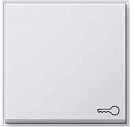 Gira Wippe mit Symbol Tür (028766)