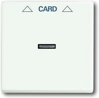 Busch Jaeger Zentralscheibe sw mt f&uuml;r Cardschalter 1792-885 (1710-0-3905)