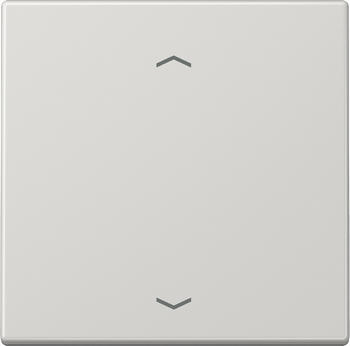 Jung Wippe mit Symbolen LS 990 PLG