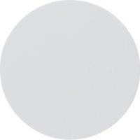 Berker 16202089, Berker 16202089 Wippe R.1/R.3 polarwei&szlig; gl&auml;nzend. Wippe f&uuml;r