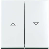 Busch-Jaeger 2CKA001713A0202, Busch-Jaeger 2504-914 Wippe mit Aufdruck