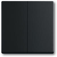 Busch-Jaeger 6736 FoH-885 Wippe, Busch-Dynastie, Zigbee Freunde von Hue,...