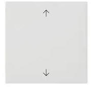 Gira Wippe 1fach mit Pfeilsymbolen System 55 Reinweiß seidenmatt (538927)