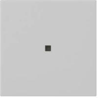 Funk-Bedienaufsatz Grau 5495015 4010337104445 Gira
