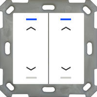 Mdt Technologies Taster Light 55 2-fach Rgbw,rws/gl&auml;,jalou. Be-tal5502.a1