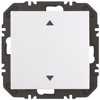 Berker Modul m Wippe 1f (24118289)