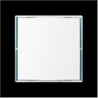 BUSCH JAEGER Keypad Bedienelement 1..4 Steuerfunktio KK/U4.55.11 (2CKA006115A0505)