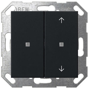 Gira KNX Taster Wippe 2f sw (5175005)