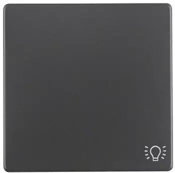 Berker Wippe anth/sa (16206046)