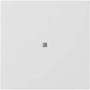 Gira Taster Wippe (5171112)